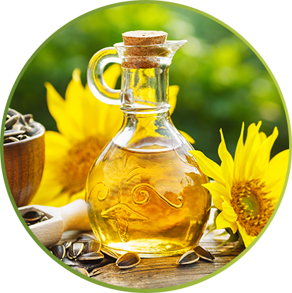 Crude Sunflower oil