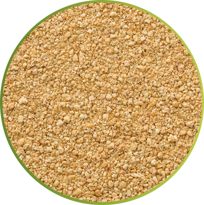 Soybean Meal